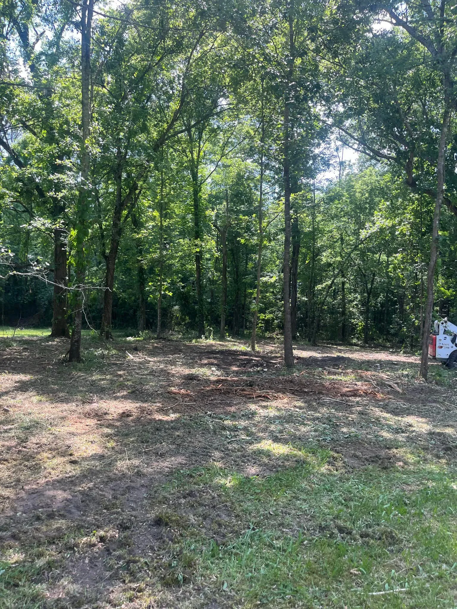 Land Clearing Work