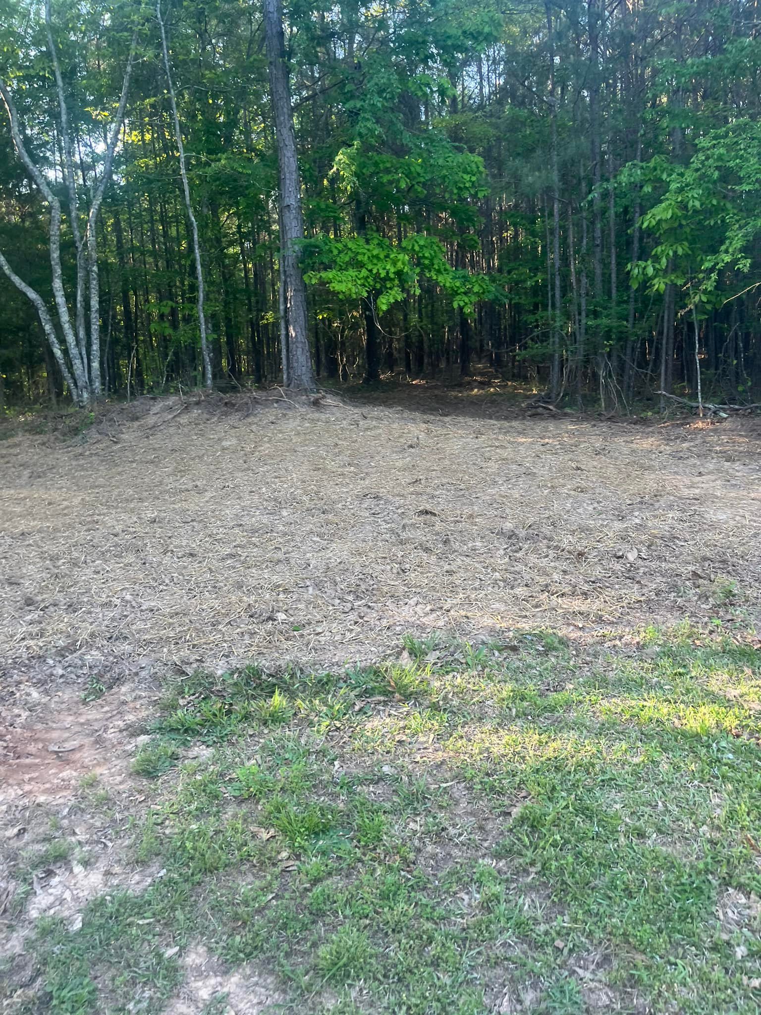 Land clearing project